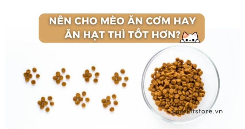 Hình ảnh so sánh trực quan giữa bát cơm trộn tự làm và bát thức ăn hạt, có thể dùng biểu đồ hoặc liệt kê ưu nhược điểm dưới dạng hình ảnh.